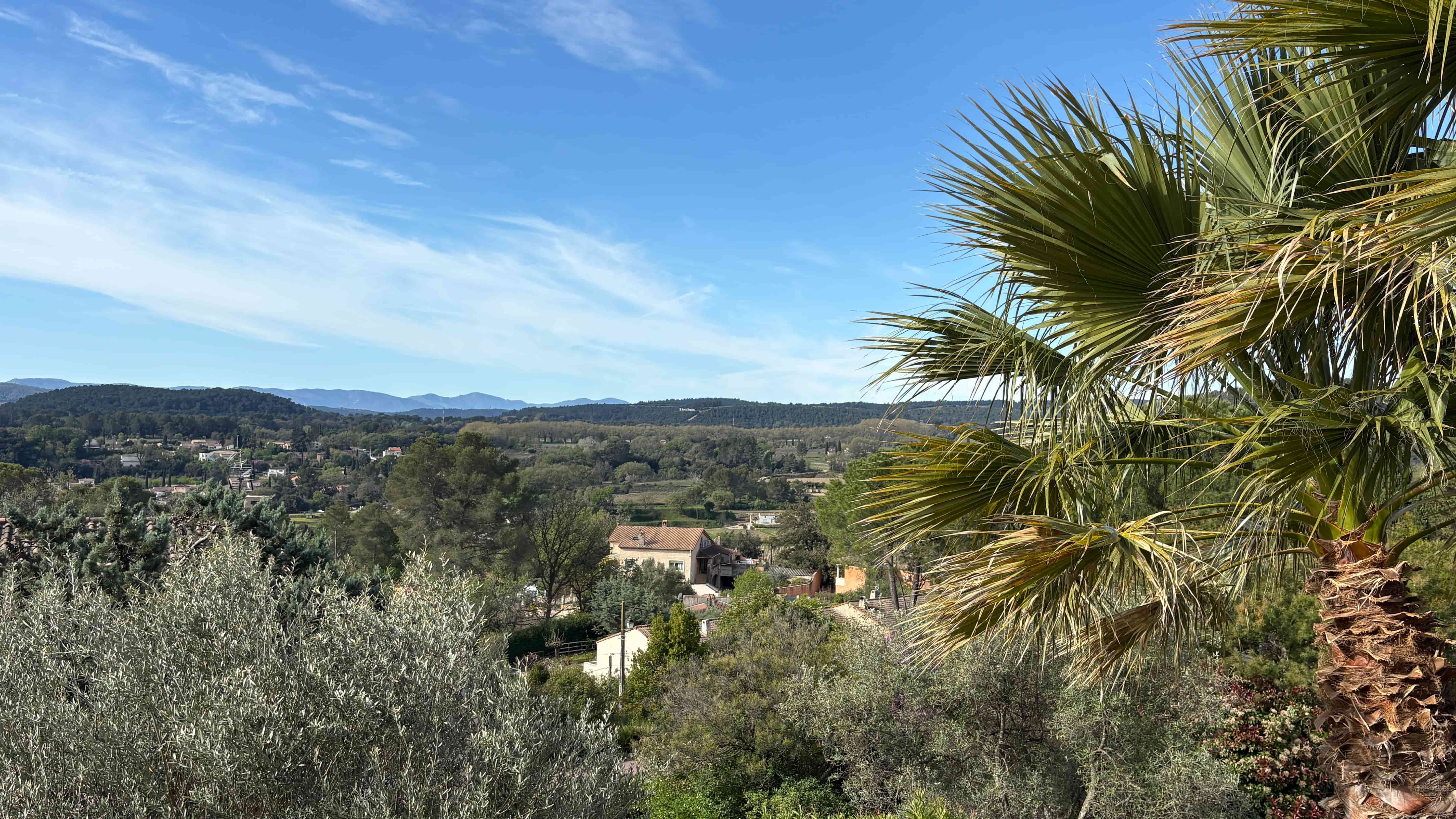 Vue panoramique sur les vignes et le massif des Maures depuis la terrasse